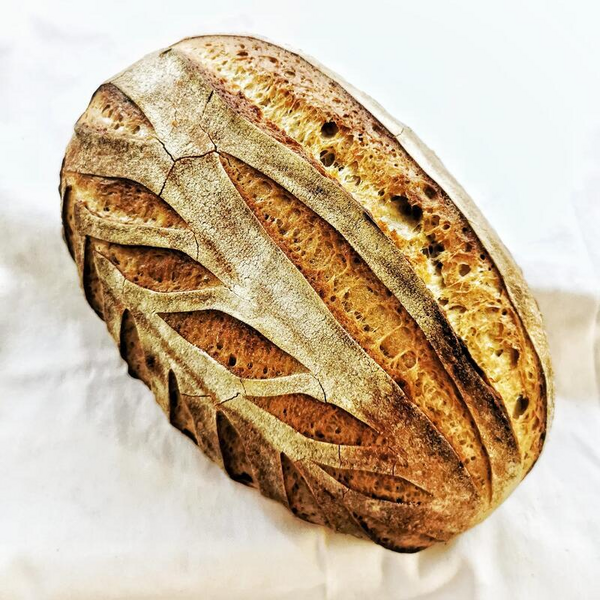 Podmaslový s kmínem 750g